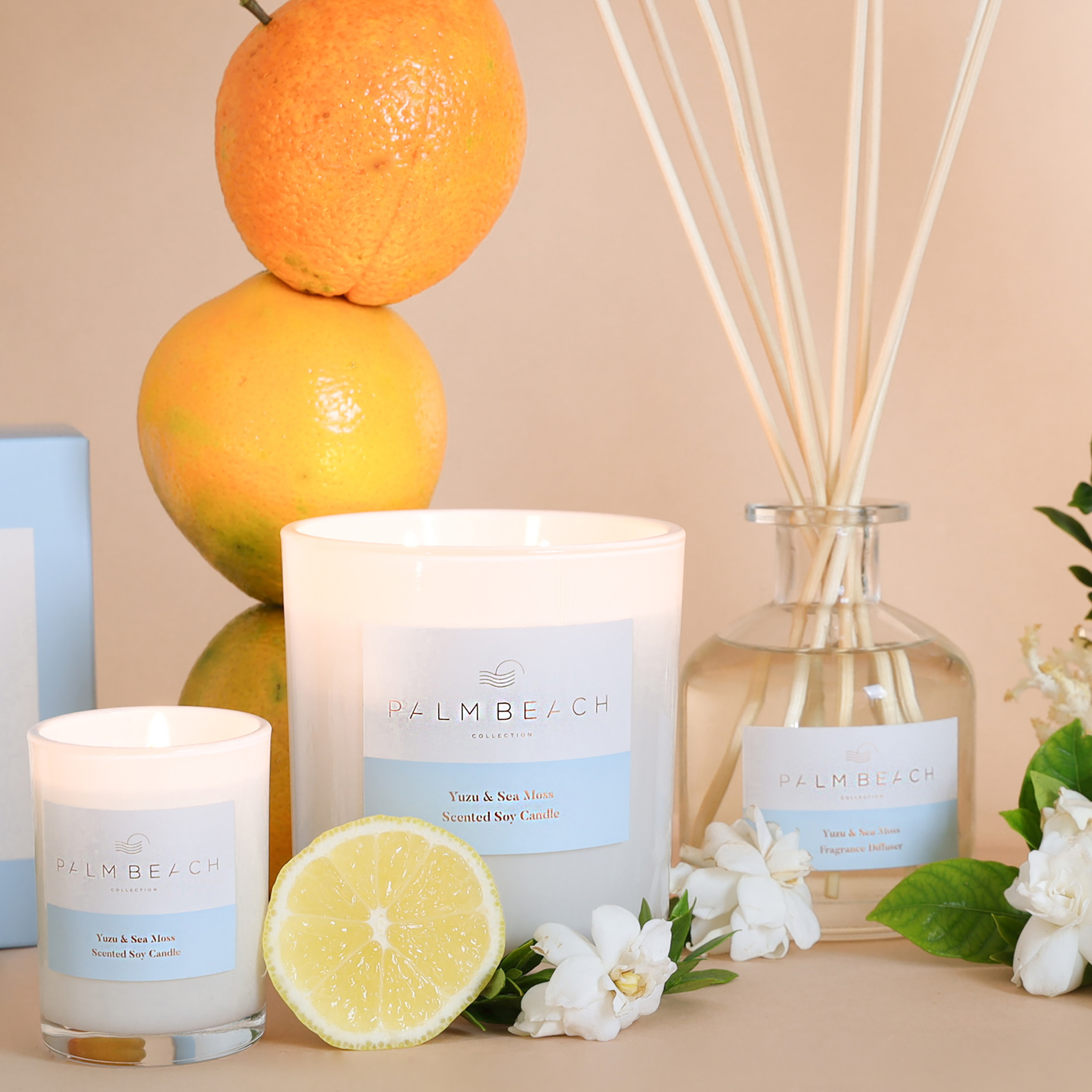 Palm Beach Collection Standard 420g Candle - Yuzu & Sea Moss (view 2)