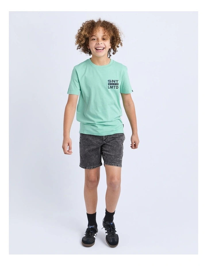 Saint Goliath Gradient Tee - Mint - Kids (view 3)