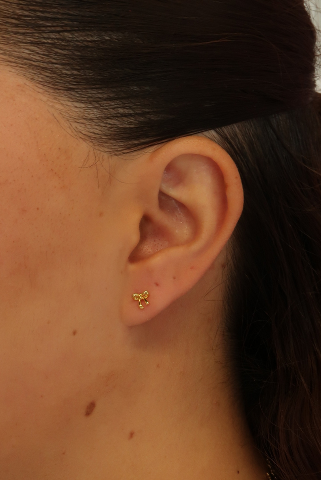 Zafino Charlotte Stud Earring - 925 - Silver (view 2)