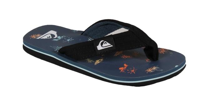 Quiksilver Molokai Layback youth thong, Blue, pair view