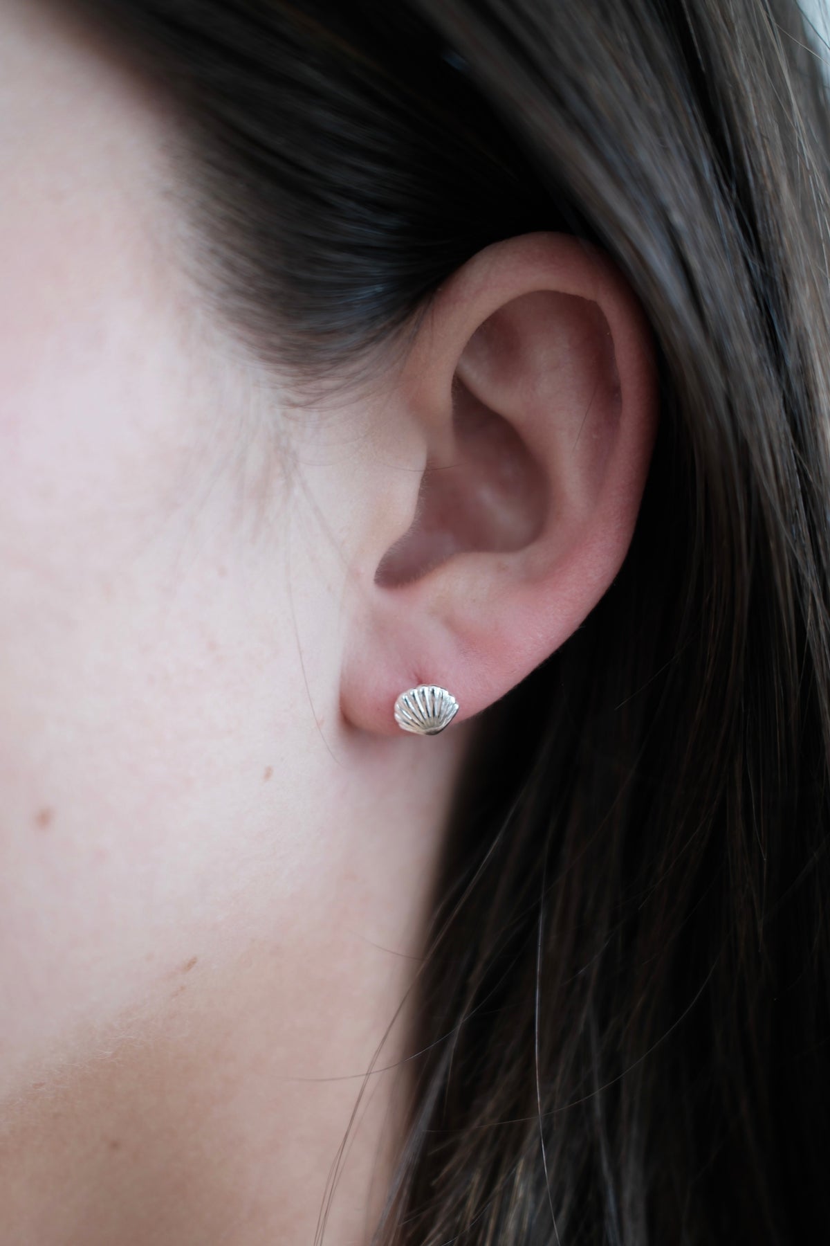 Zafino Shelly Stud silver worn