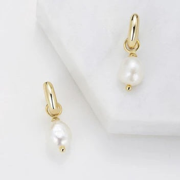 Zafino Charlie Mini Hoop in Gold