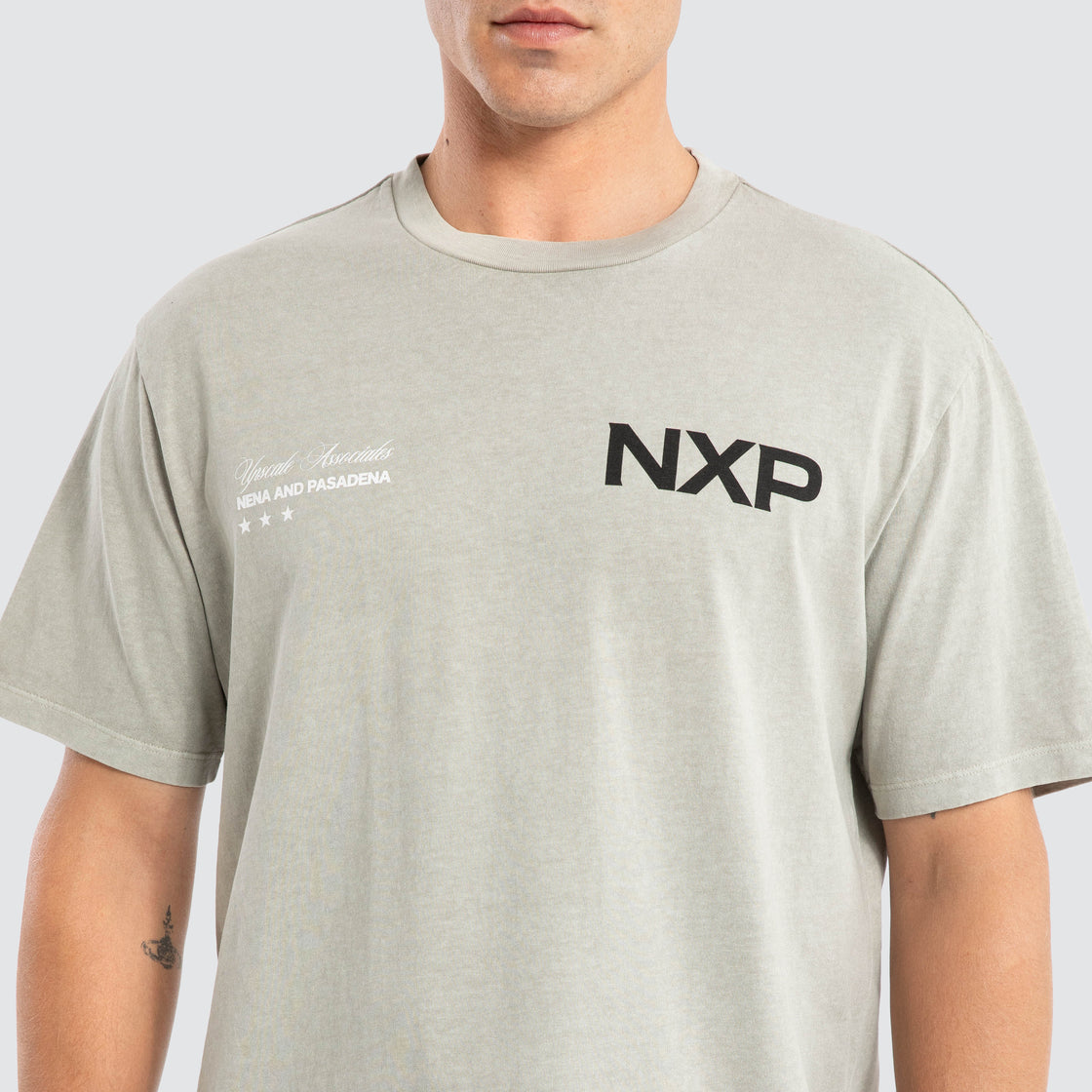 NXP Prancer Classic Tee - Pigment Paloma (view 2)