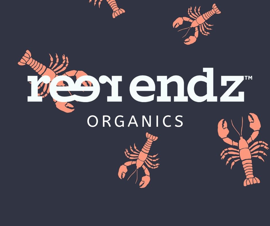 Reer Endz Organic Trunk Snapper - waistband detail