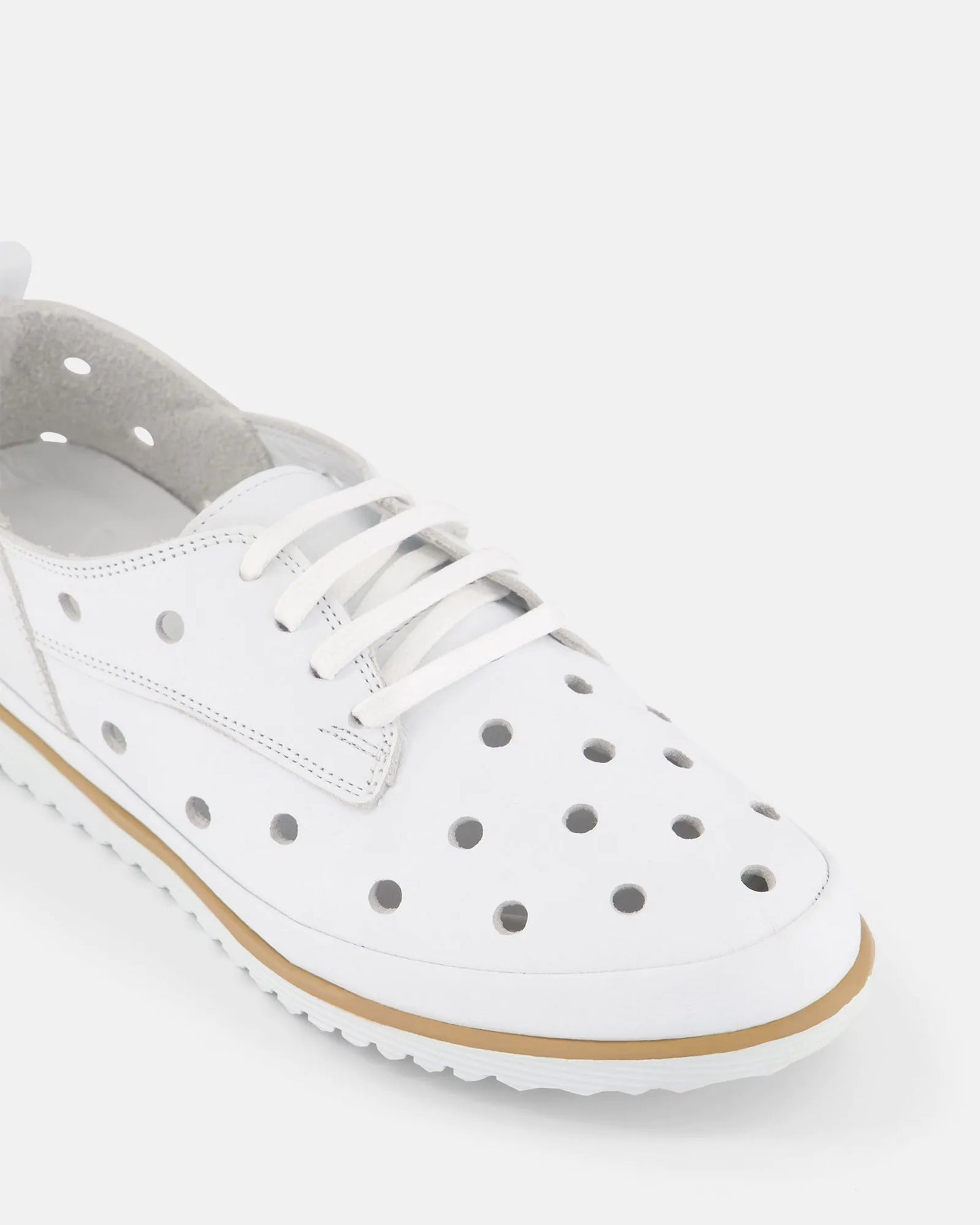 Ceaser Sneaker - White