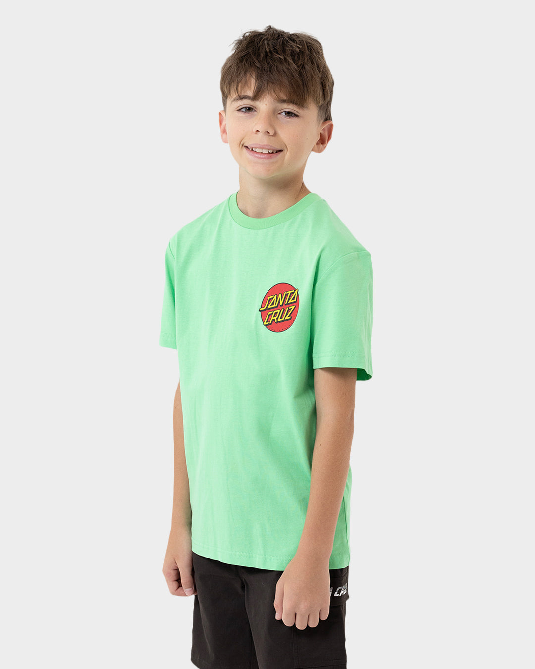 Santa Cruz Classic Dot Chest Tee in light green