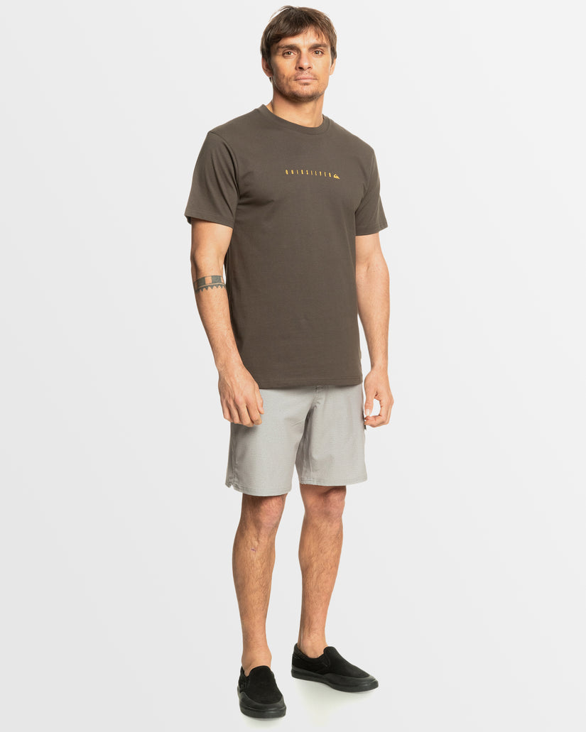 Reflective Sun SS Tee - Earth