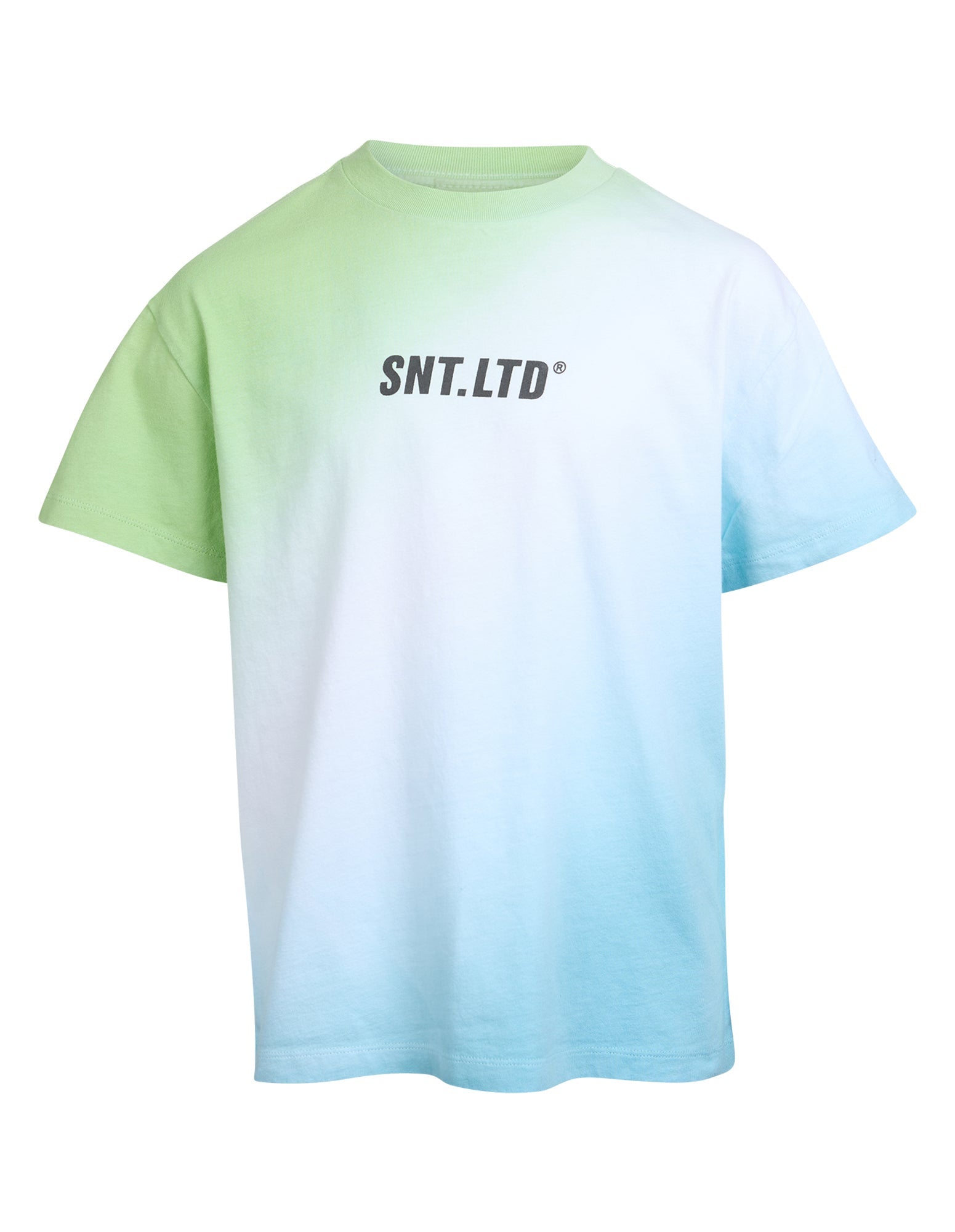 Saint Goliath Fade Tee - Green - Kids (view 5)