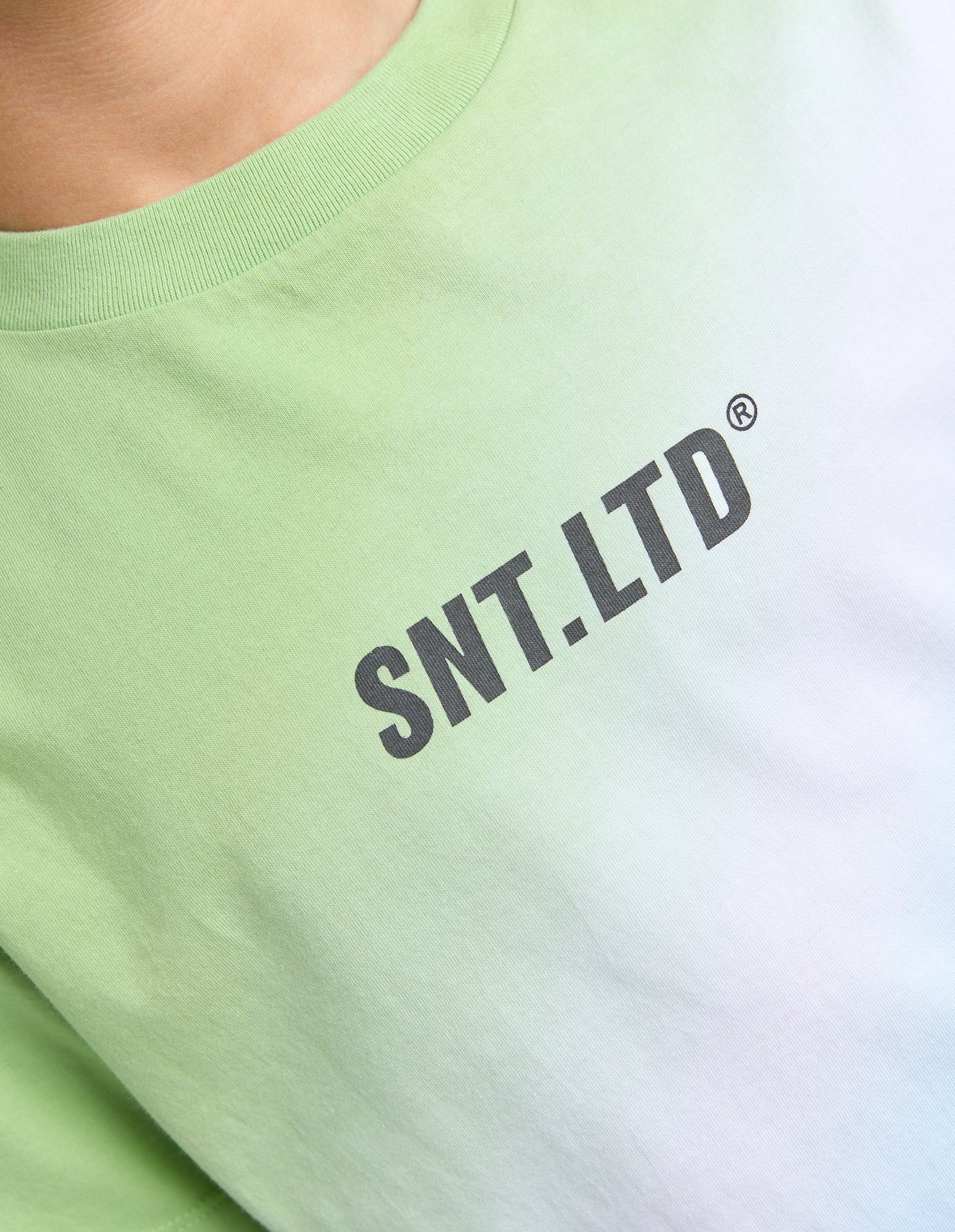 Saint Goliath Fade Tee - Green (view 4)