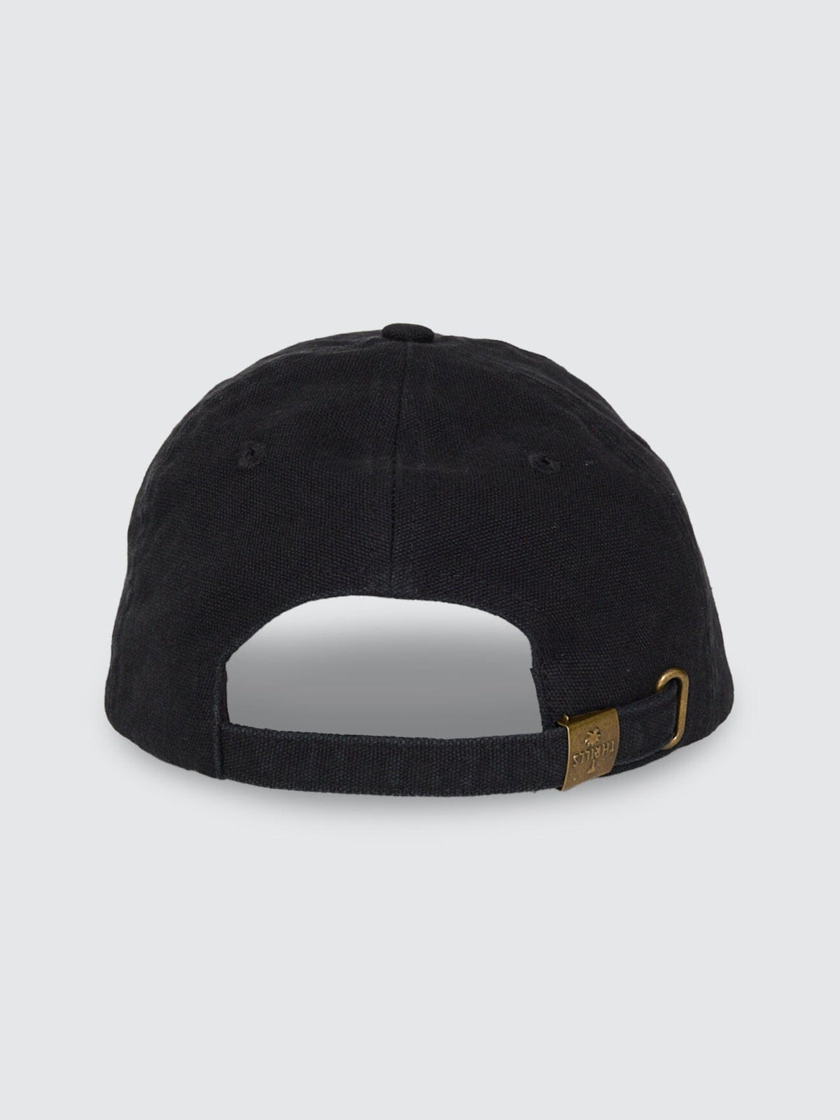 Thrills Minimal Thrills 6 Panel Cap in Washed Black - back