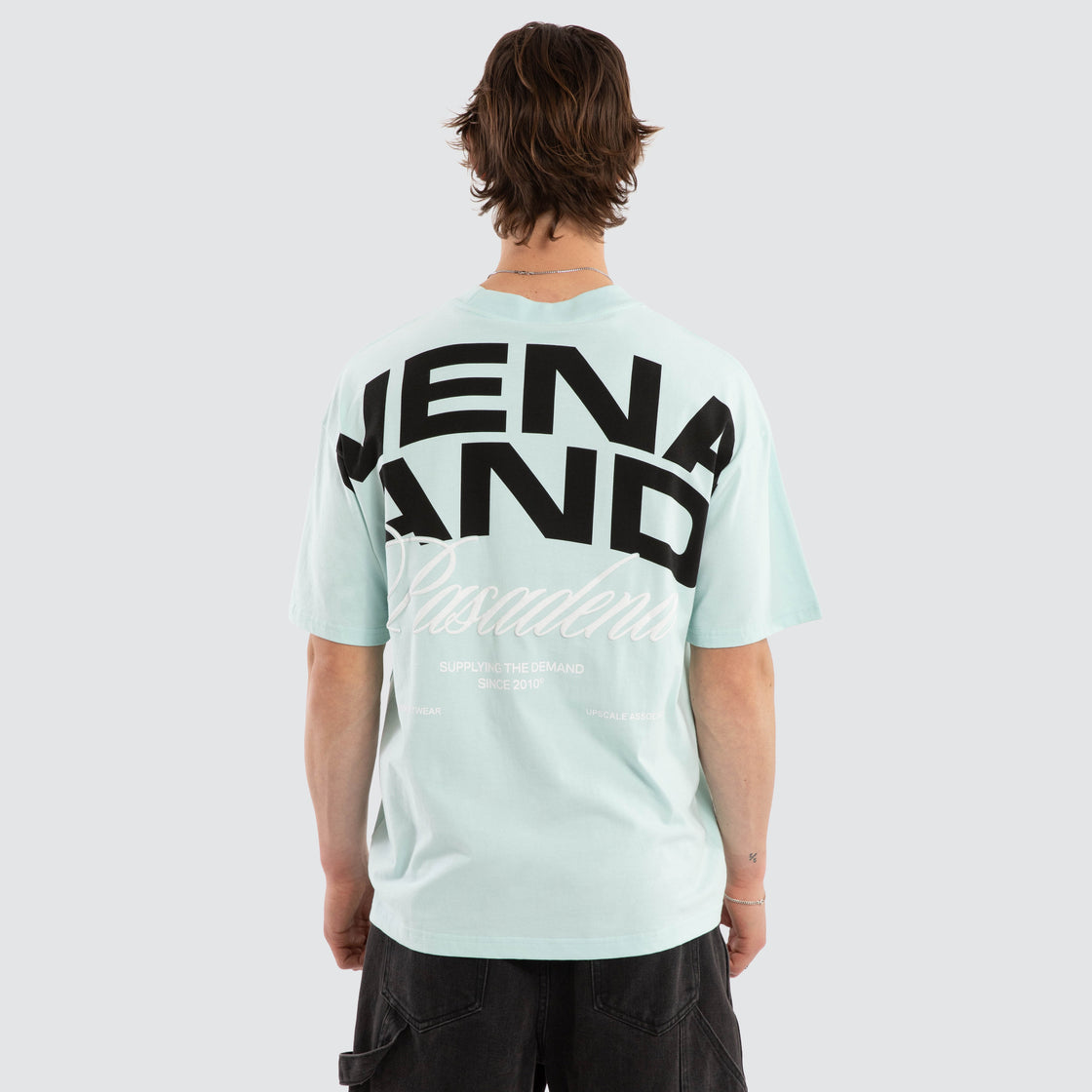 Loyal Raptor Tee - Pastel Blue