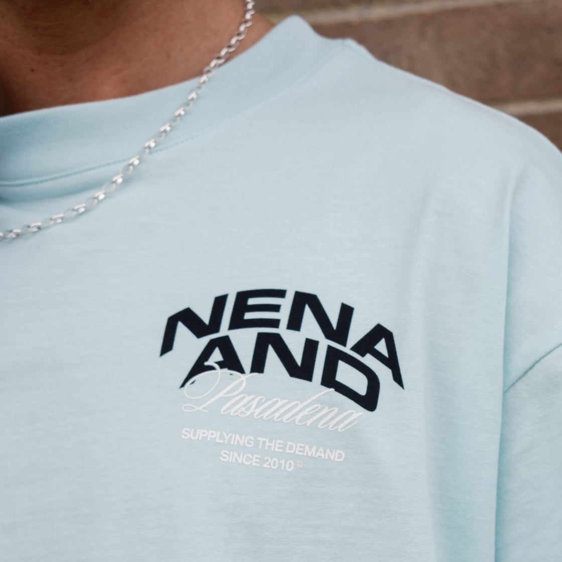 Loyal Raptor Tee - Pastel Blue