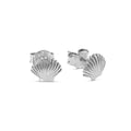 Sea Shell Stud Earring - 925 - Silver