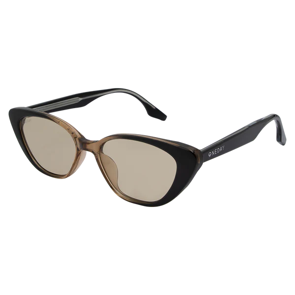Celine - Back to Brown - Catani Clothing