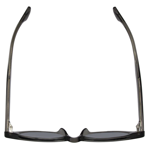 Parker - Black Brown Polarised