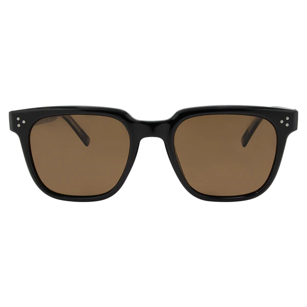Parker - Black Brown Polarised