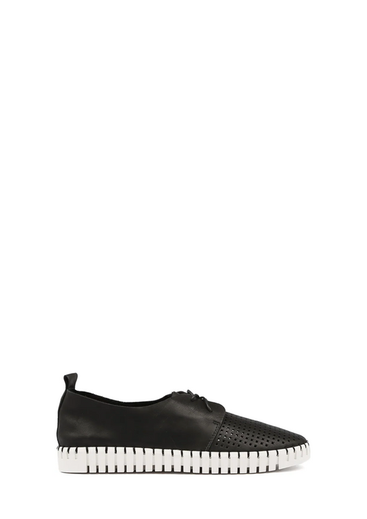 Huston - Black Leather