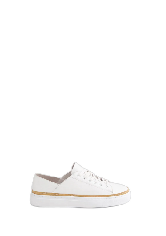 Ollov Sneaker - White