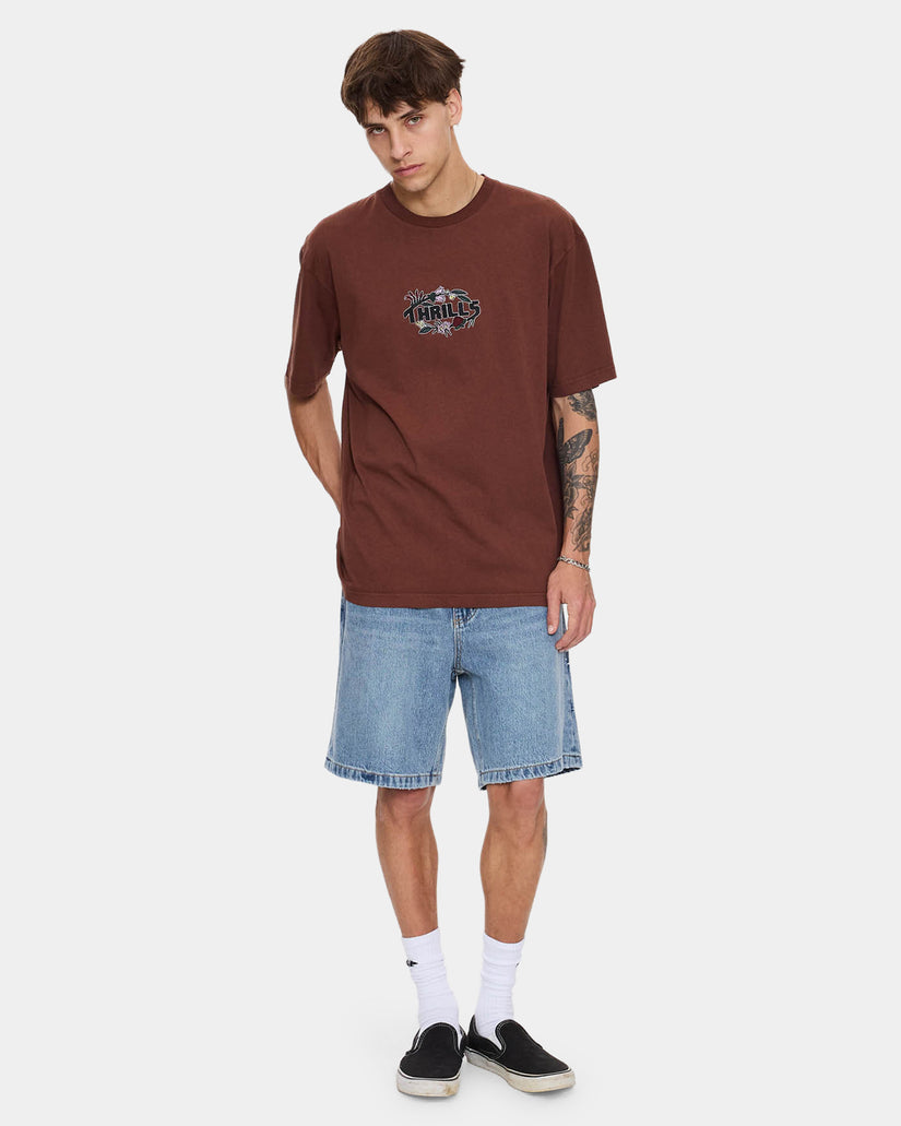 Thrills Beauty Around Us Oversize  Fit Tee - Acorn (view 5)