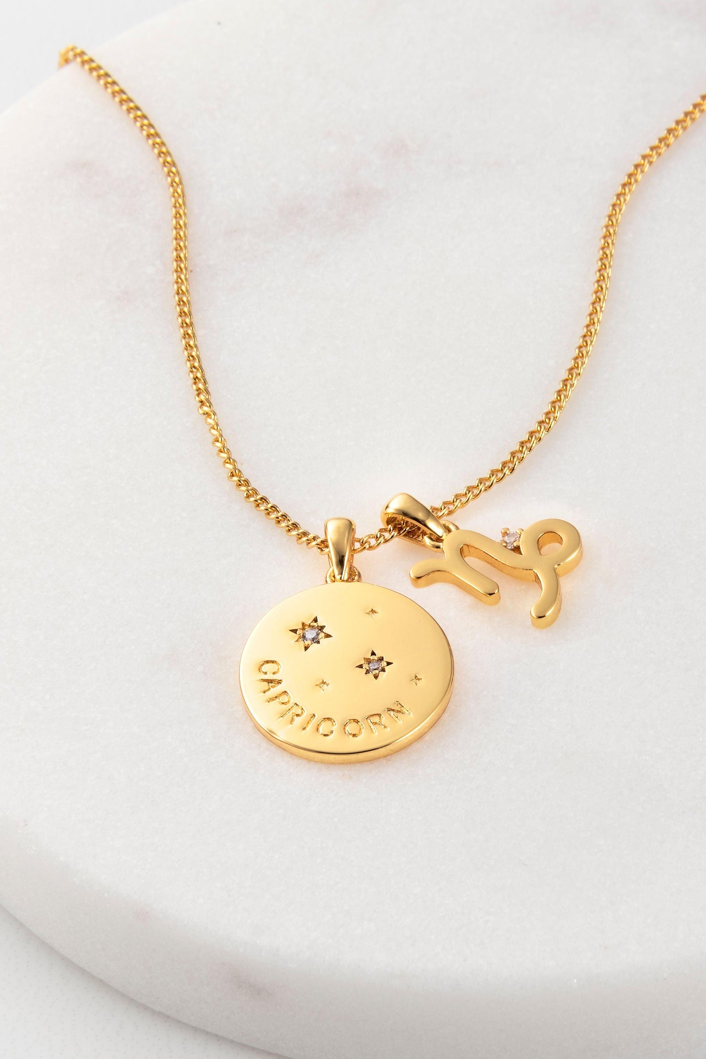 Zodiac Necklace - Capricorn