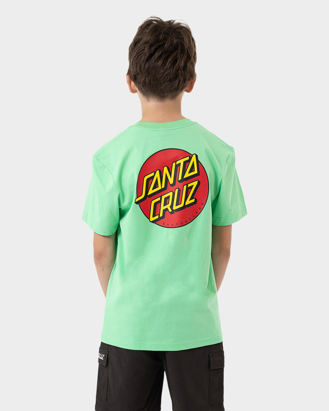 Santa Cruz Classic Dot Chest Tee light green detail